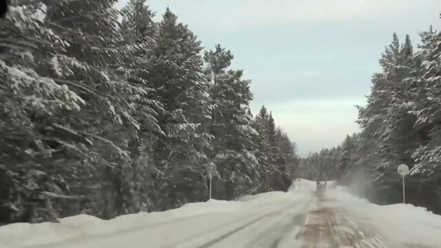 На белом покрывале января.